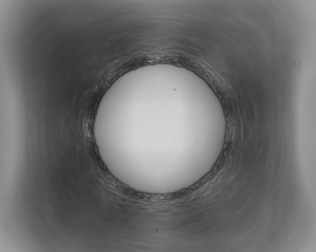 X0000111940770200907271013