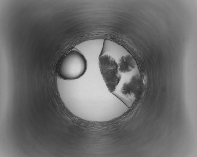 X0000111940771200907271013