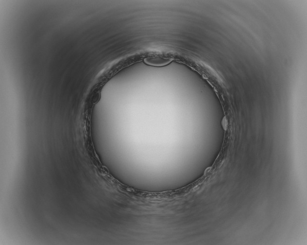 X0000111940776200907271013