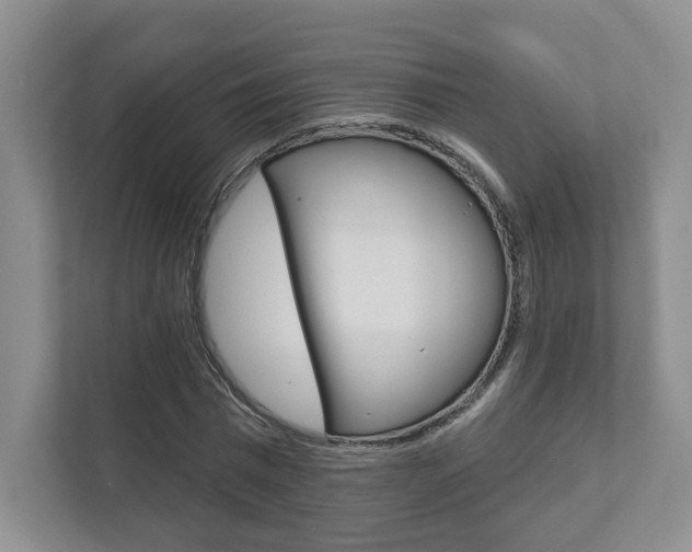 X0000111940777200907271013