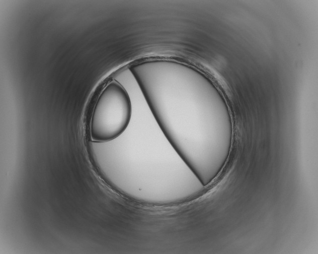 X0000111940779200907271013
