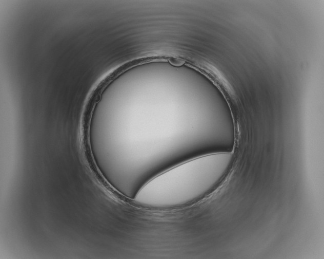 X0000111940780200907271013
