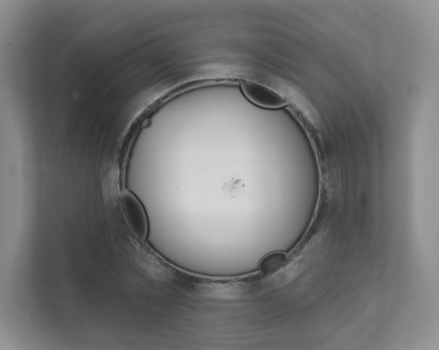 X0000111940781200907271013