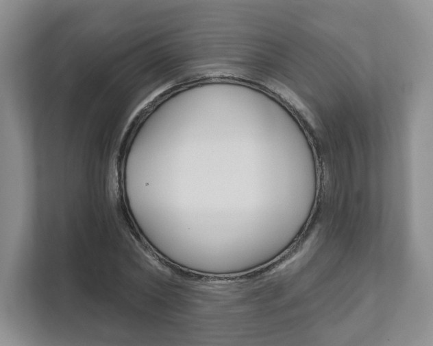 X0000111940782200907271013