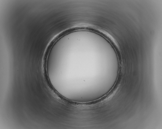 X0000111940783200907271013