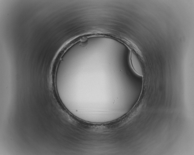 X0000111940784200907271013