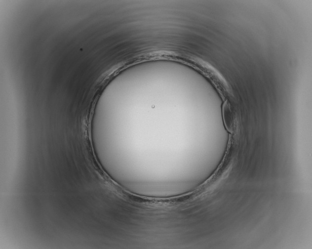 X0000111940785200907271013