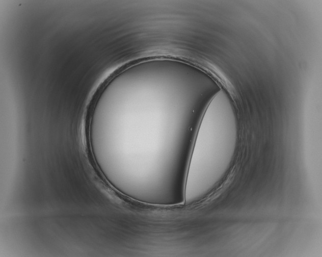 X0000111940788200907271013