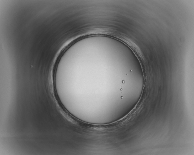 X0000111940792200907271013