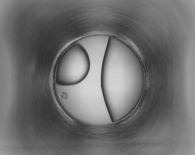 X0000111940795200907271013