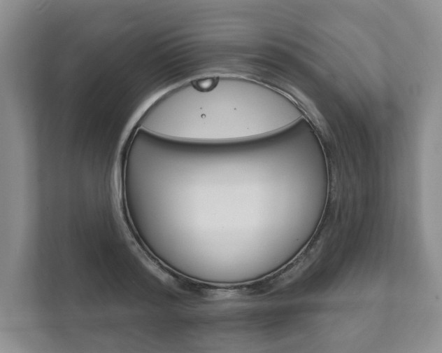 X0000111940796200907271013