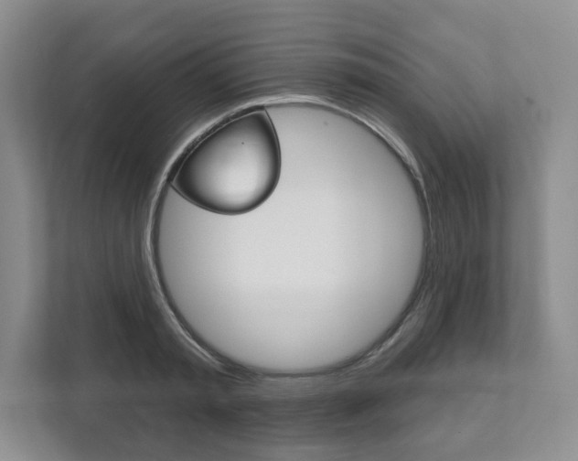 X0000111940797200907271013