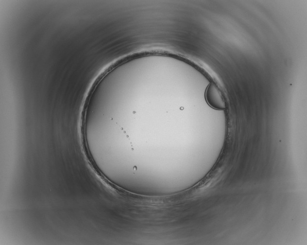 X0000111940799200907271013