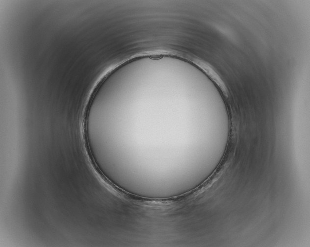 X0000111940805200907271013