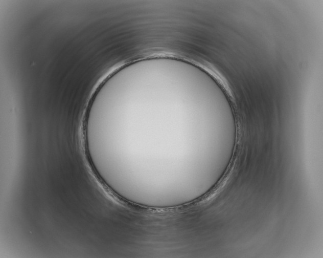 X0000111940806200907271013