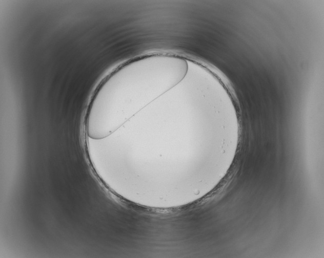 X0000111940807200907271013