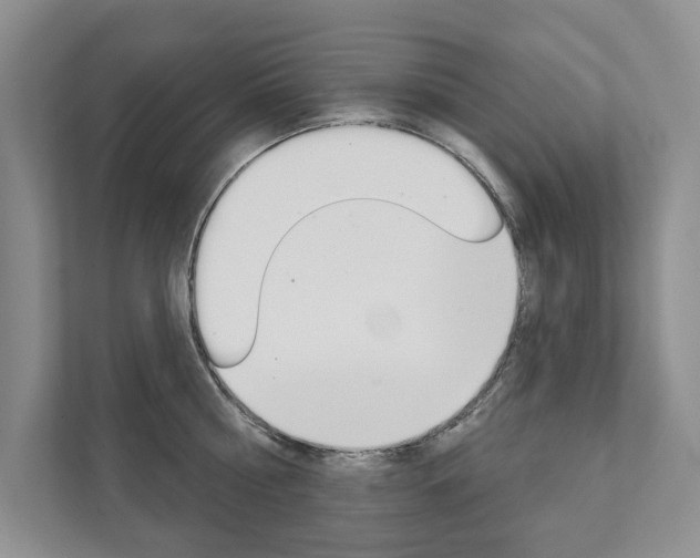 X0000111940810200907271013