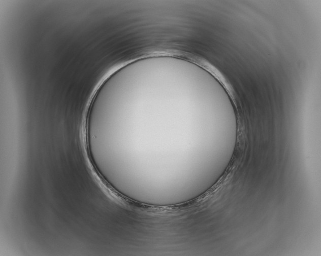 X0000111940811200907271013