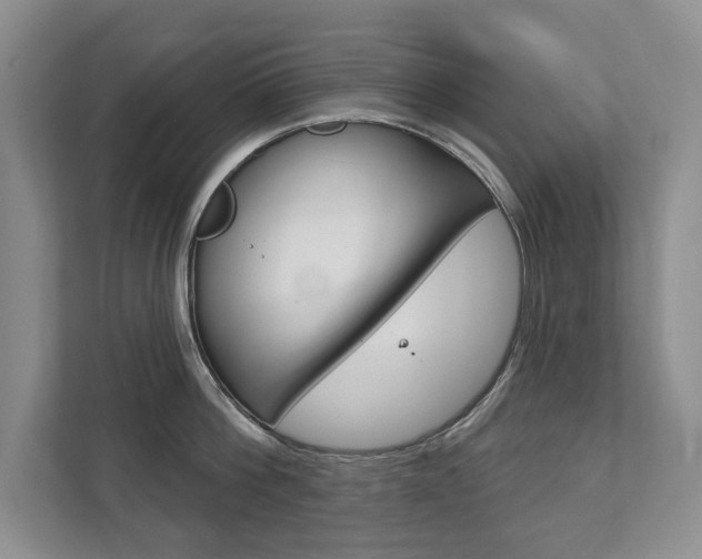 X0000111940812200907271013