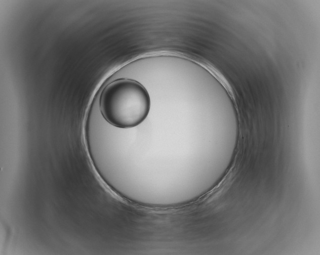 X0000111940813200907271013