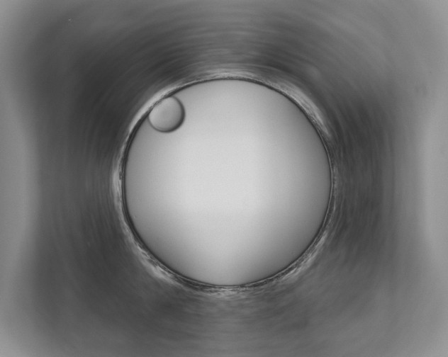X0000111940814200907271013
