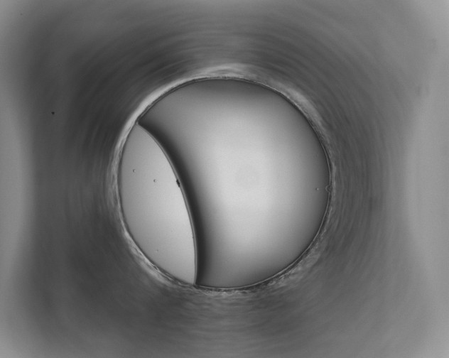 X0000111940816200907271013