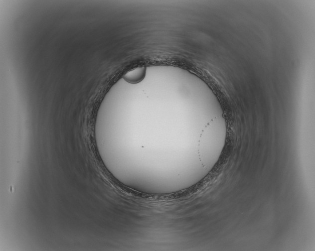 X0000111940817200907271012