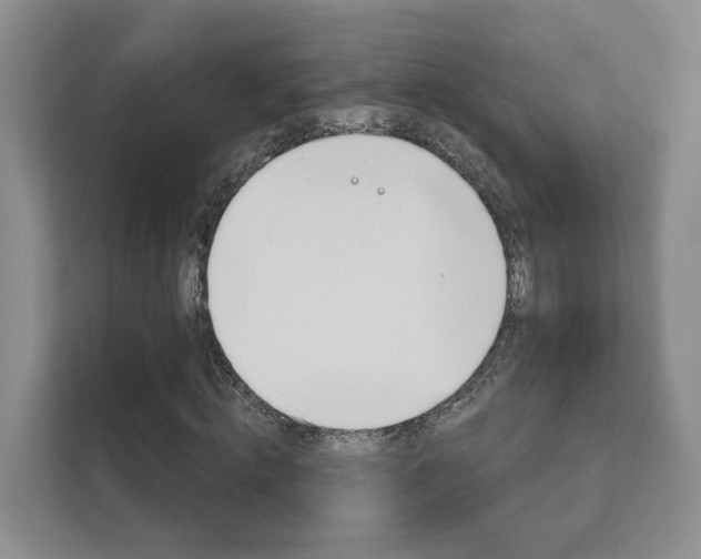 X0000111940820200907271012