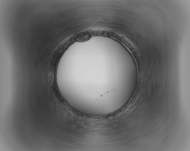 X0000111940821200907271012