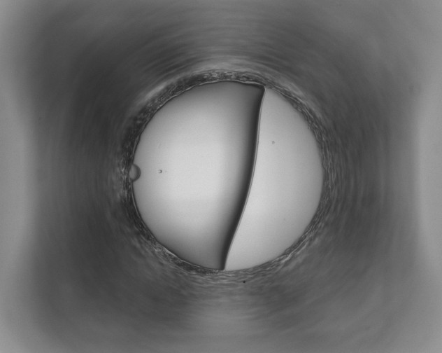 X0000111940822200907271012