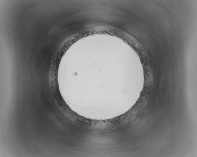 X0000111940824200907271012