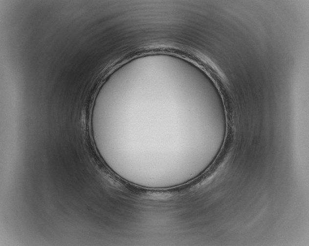 X0000111940825200907271012