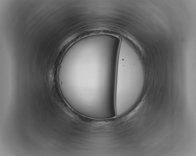 X0000111940826200907271012