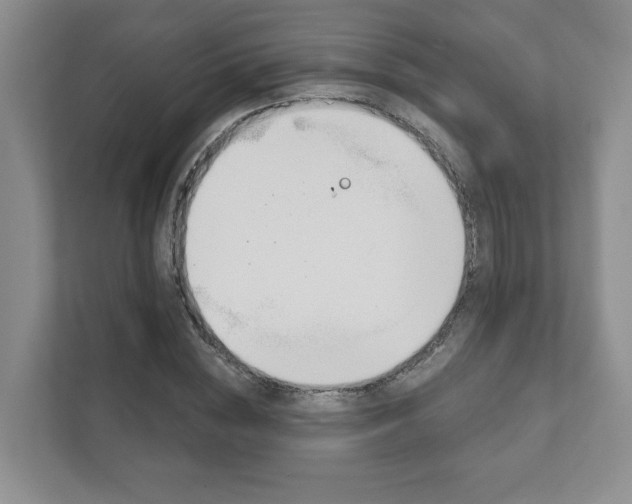 X0000111940828200907271012