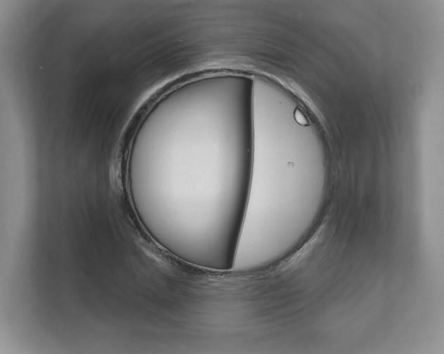 X0000111940830200907271012