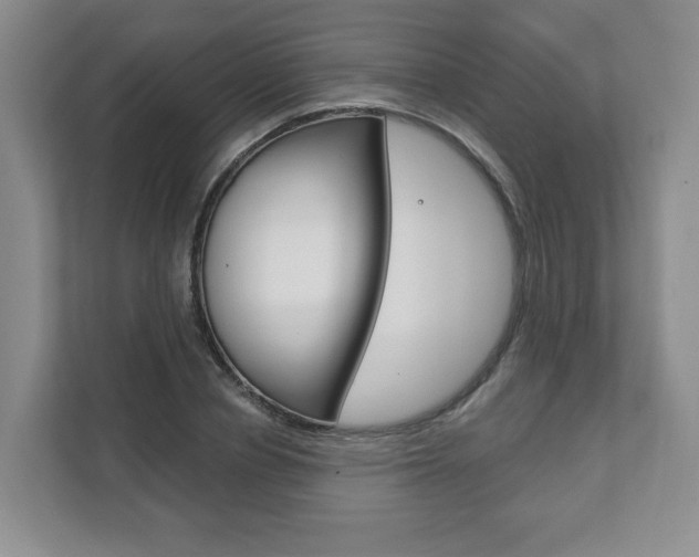 X0000111940834200907271012
