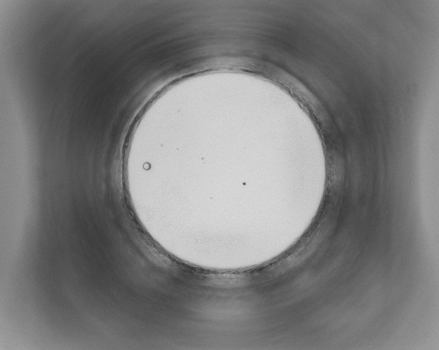 X0000111940836200907271012