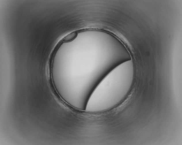 X0000111940838200907271012