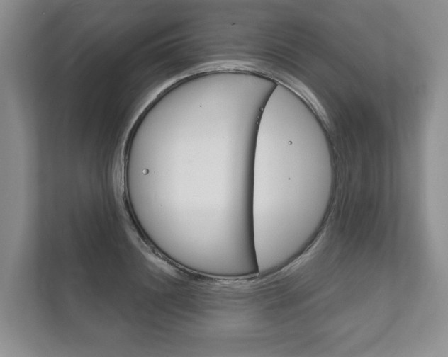 X0000111940844200907271012