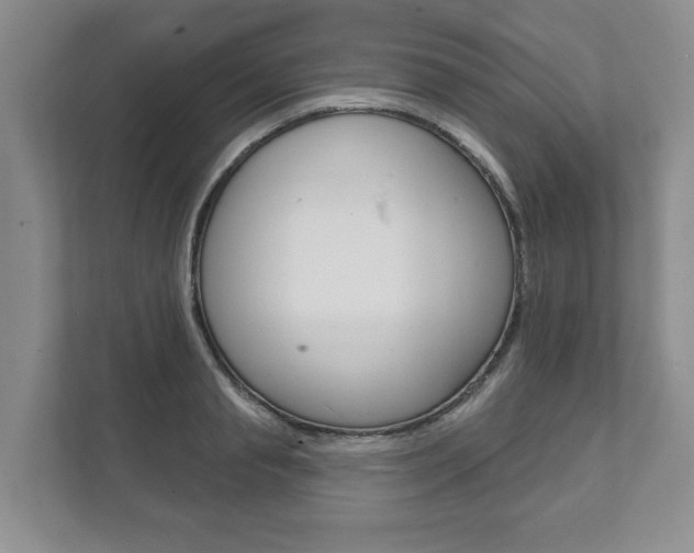X0000111940845200907271012