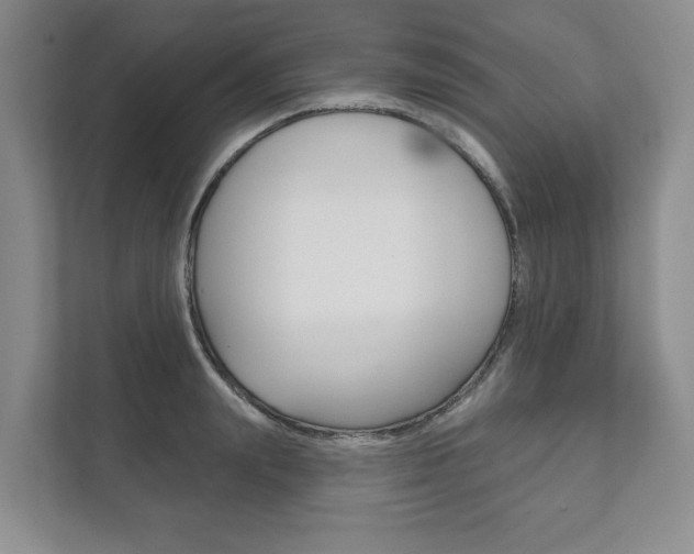 X0000111940847200907271012