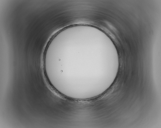 X0000111940848200907271012
