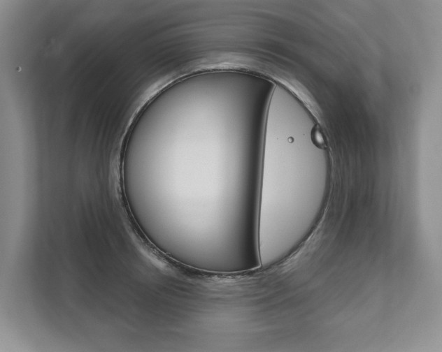 X0000111940850200907271012