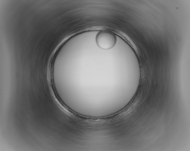 X0000111940851200907271012