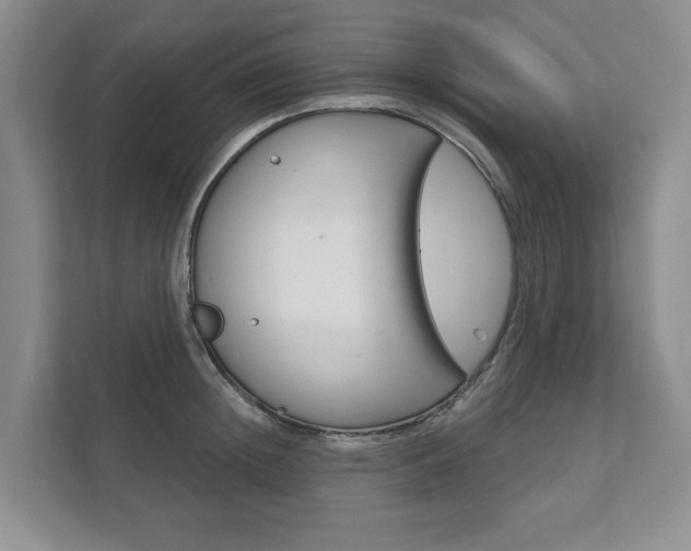 X0000111940852200907271012