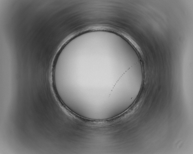 X0000111940853200907271012