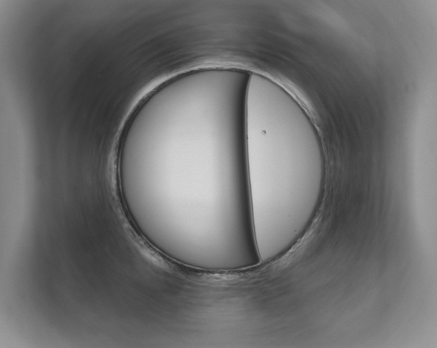 X0000111940854200907271012