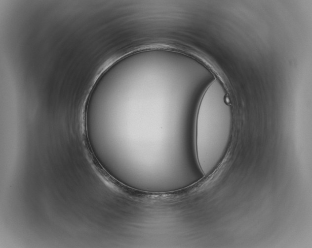 X0000111940858200907271013