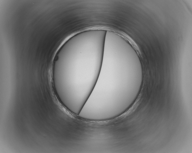 X0000111940860200907271013