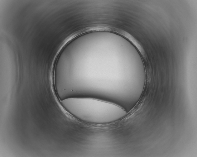 X0000111940861200907271013
